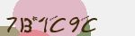 Mã bảo mật